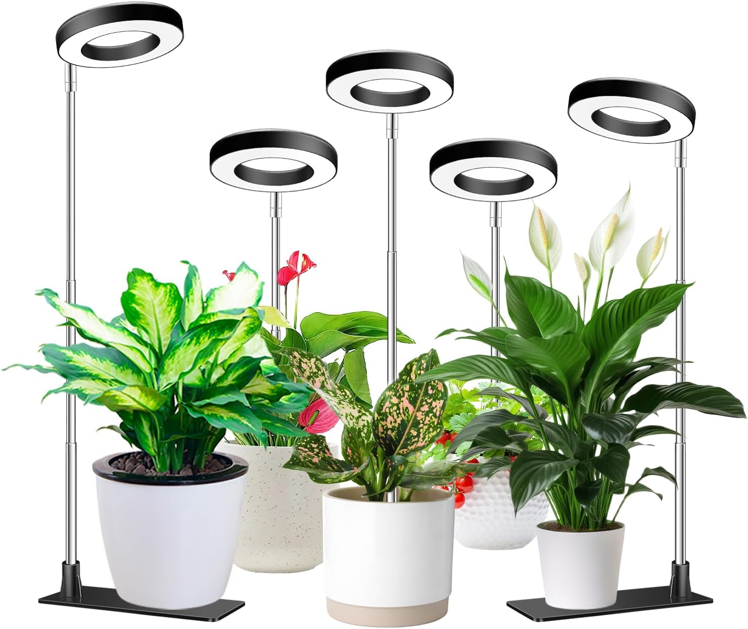 Plant Grow Light, 48 LEDs Full Spectrum Grow Lights for Indoor Plants, Height Adjustable Small Halo Grow Light with Base, 3 Optional Spectrums, Auto Timer 3/9/12Hrs, 10 Brightness, 3 Pack