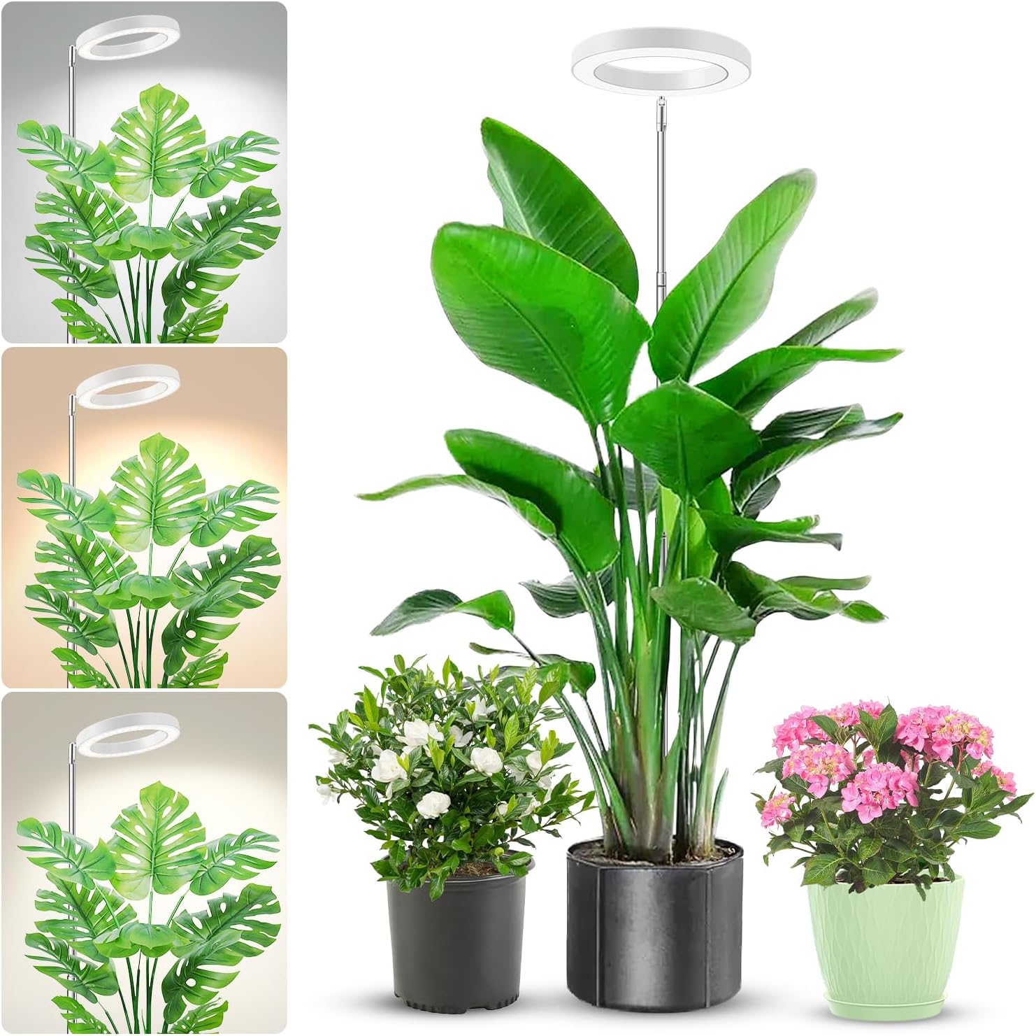 Plant Grow Light, 48 LEDs Full Spectrum Grow Lights for Indoor Plants, Height Adjustable Small Halo Grow Light with Base, 3 Optional Spectrums, Auto Timer 3/9/12Hrs, 10 Brightness, 3 Pack