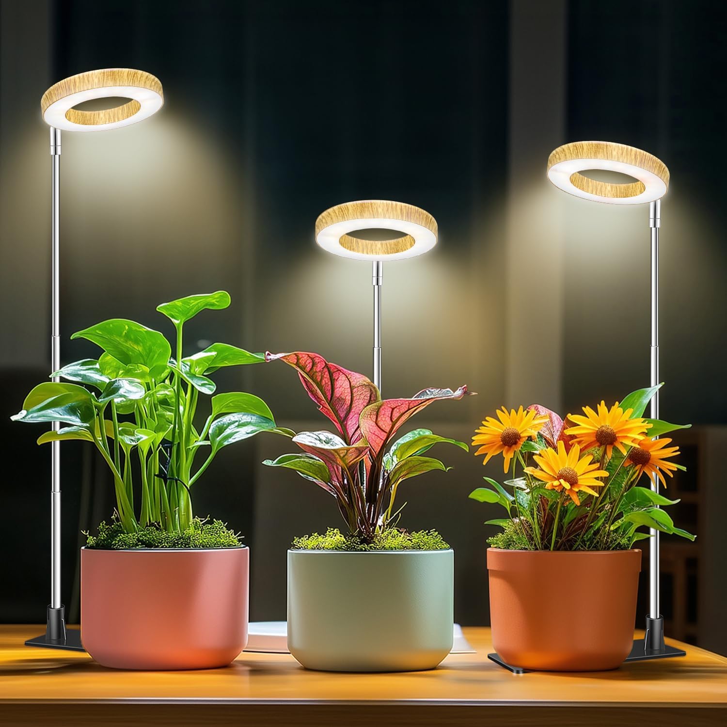 Plant Grow Light, 48 LEDs Full Spectrum Grow Lights for Indoor Plants, Height Adjustable Small Halo Grow Light with Base, 3 Optional Spectrums, Auto Timer 3/9/12Hrs, 10 Brightness, 3 Pack