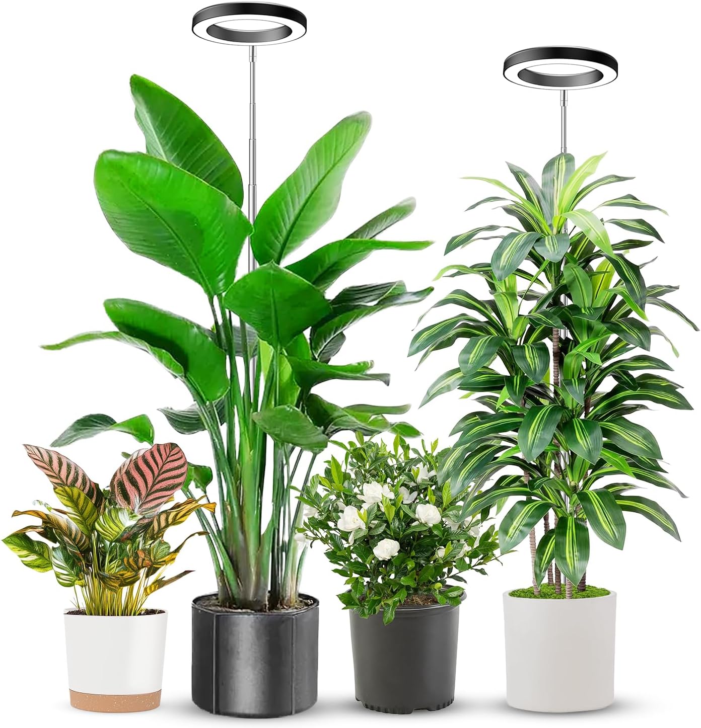 Plant Grow Light, 48 LEDs Full Spectrum Grow Lights for Indoor Plants, Height Adjustable Small Halo Grow Light with Base, 3 Optional Spectrums, Auto Timer 3/9/12Hrs, 10 Brightness, 3 Pack