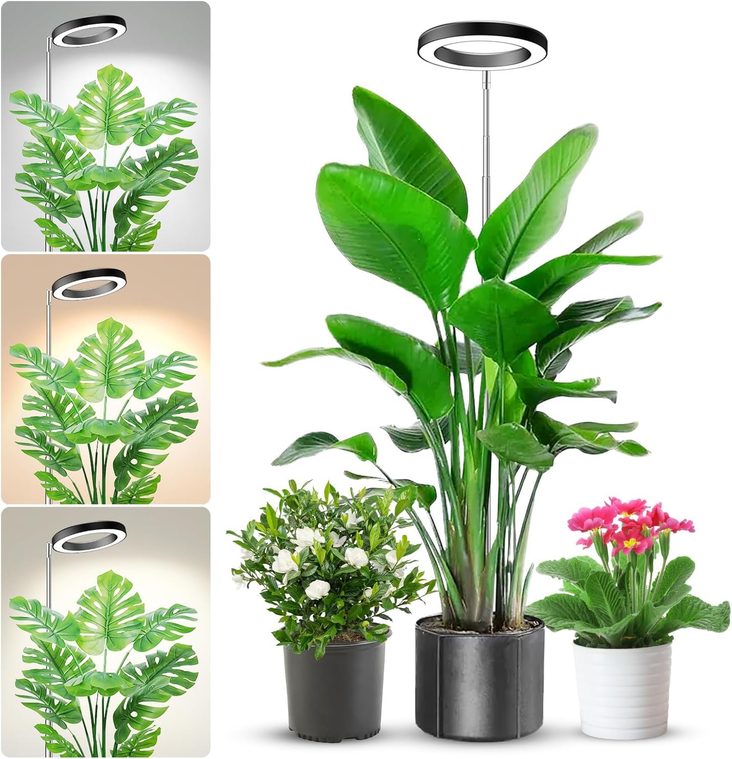 Plant Grow Light, 48 LEDs Full Spectrum Grow Lights for Indoor Plants, Height Adjustable Small Halo Grow Light with Base, 3 Optional Spectrums, Auto Timer 3/9/12Hrs, 10 Brightness, 3 Pack