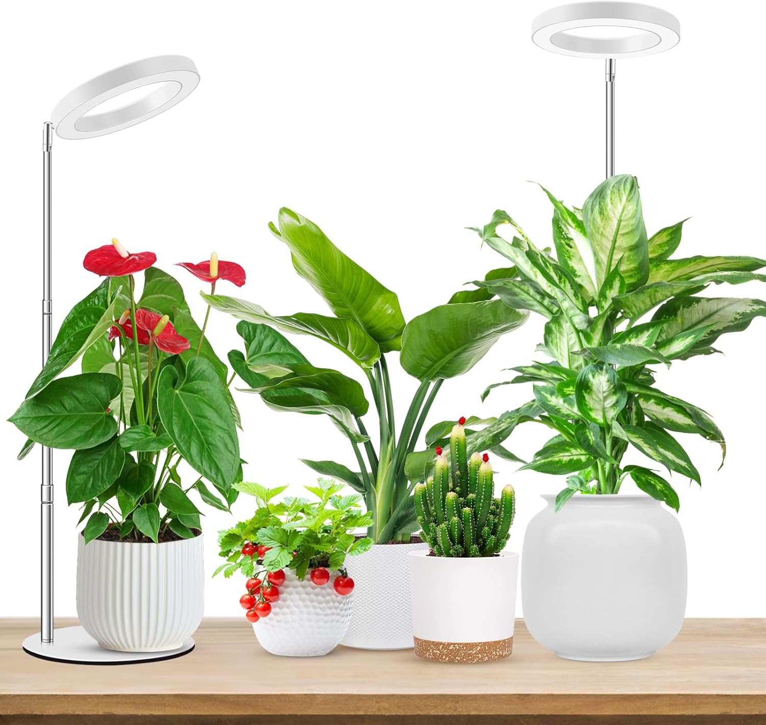 Plant Grow Light, 48 LEDs Full Spectrum Grow Lights for Indoor Plants, Height Adjustable Small Halo Grow Light with Base, 3 Optional Spectrums, Auto Timer 3/9/12Hrs, 10 Brightness, 3 Pack