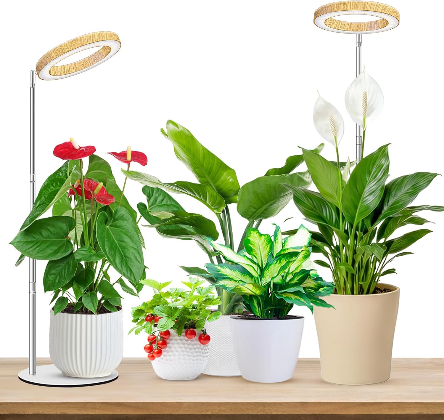 Plant Grow Light, 48 LEDs Full Spectrum Grow Lights for Indoor Plants, Height Adjustable Small Halo Grow Light with Base, 3 Optional Spectrums, Auto Timer 3/9/12Hrs, 10 Brightness, 3 Pack