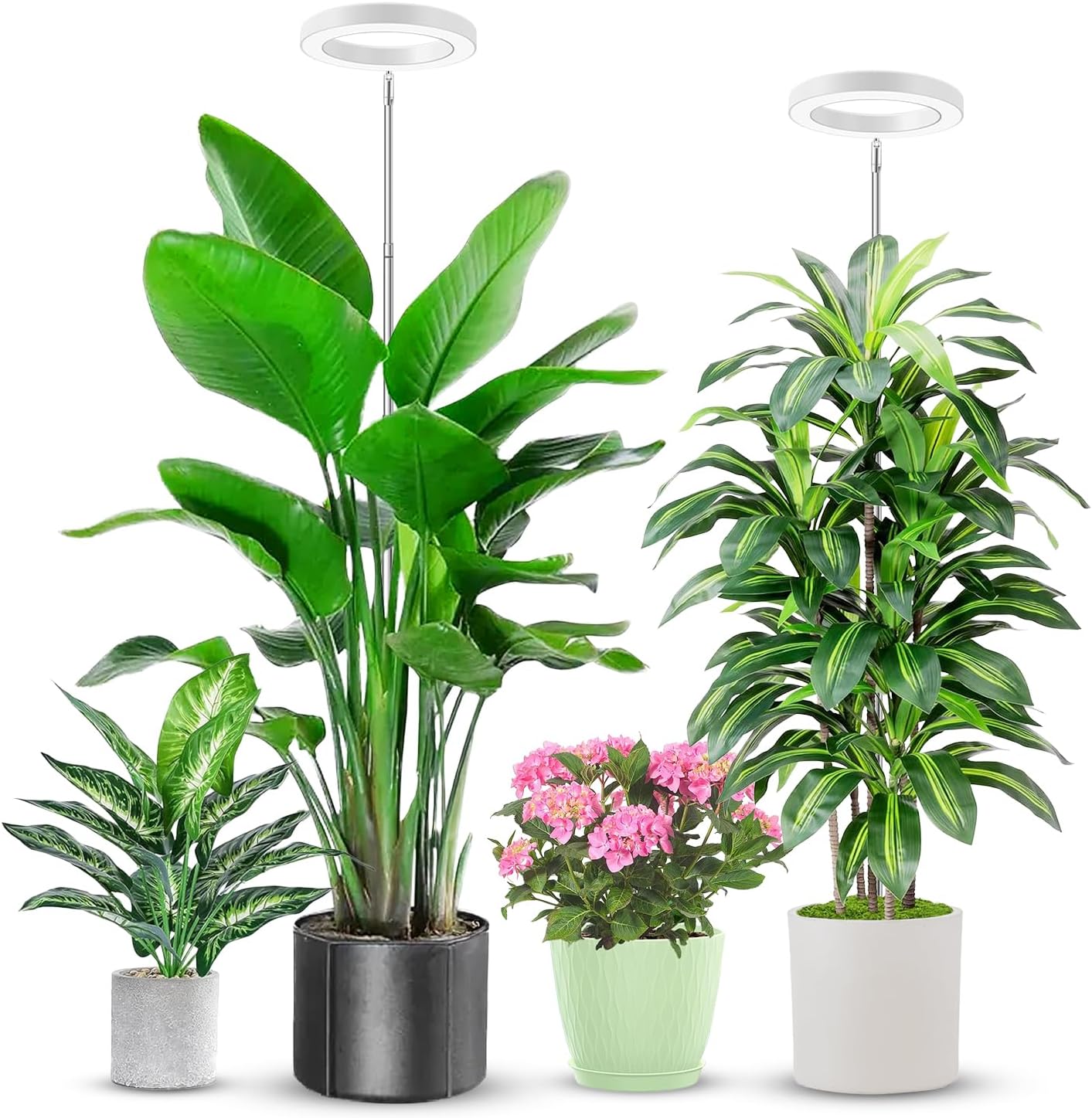 Plant Grow Light, 48 LEDs Full Spectrum Grow Lights for Indoor Plants, Height Adjustable Small Halo Grow Light with Base, 3 Optional Spectrums, Auto Timer 3/9/12Hrs, 10 Brightness, 3 Pack