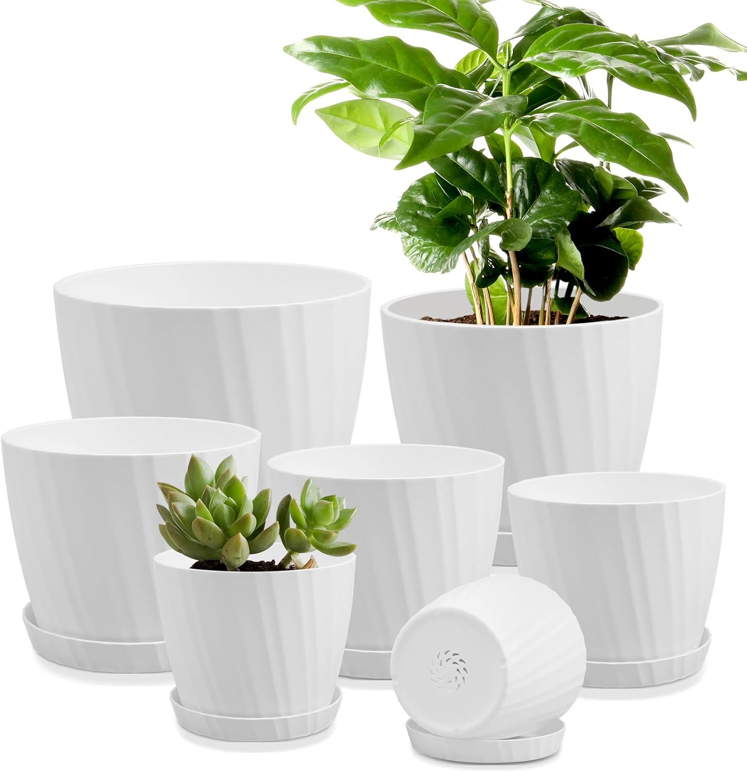 Indoor Self Watering Planters with Drainage Holes and Saucers, 8, 7, 6.5, 6, 5.5, 5 Inches, Black, 6 Pots