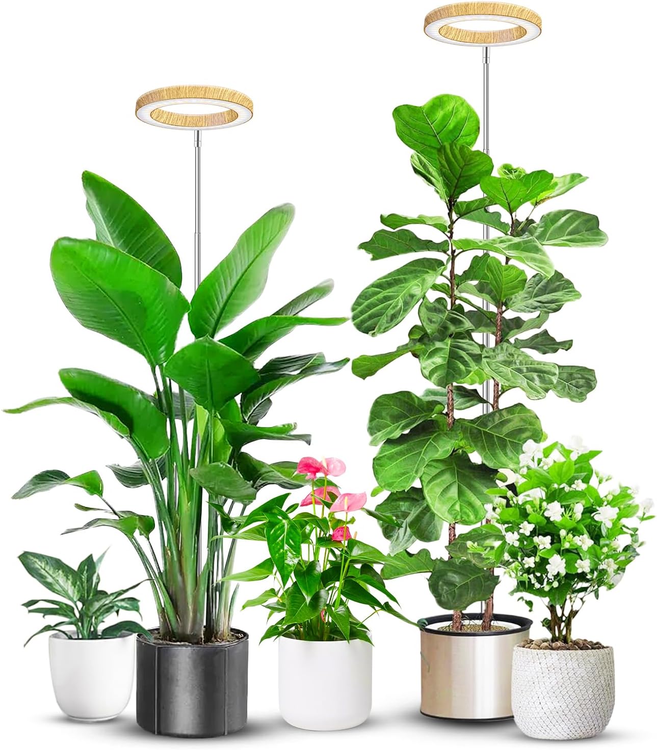 Plant Grow Light, 48 LEDs Full Spectrum Grow Lights for Indoor Plants, Height Adjustable Small Halo Grow Light with Base, 3 Optional Spectrums, Auto Timer 3/9/12Hrs, 10 Brightness, 3 Pack