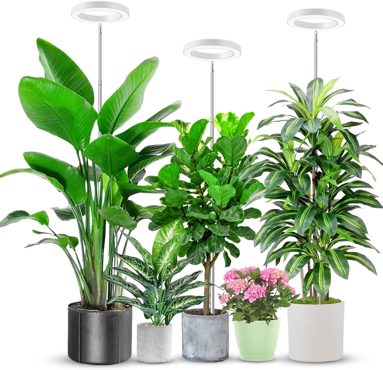 Plant Grow Light, 48 LEDs Full Spectrum Grow Lights for Indoor Plants, Height Adjustable Small Halo Grow Light with Base, 3 Optional Spectrums, Auto Timer 3/9/12Hrs, 10 Brightness, 3 Pack