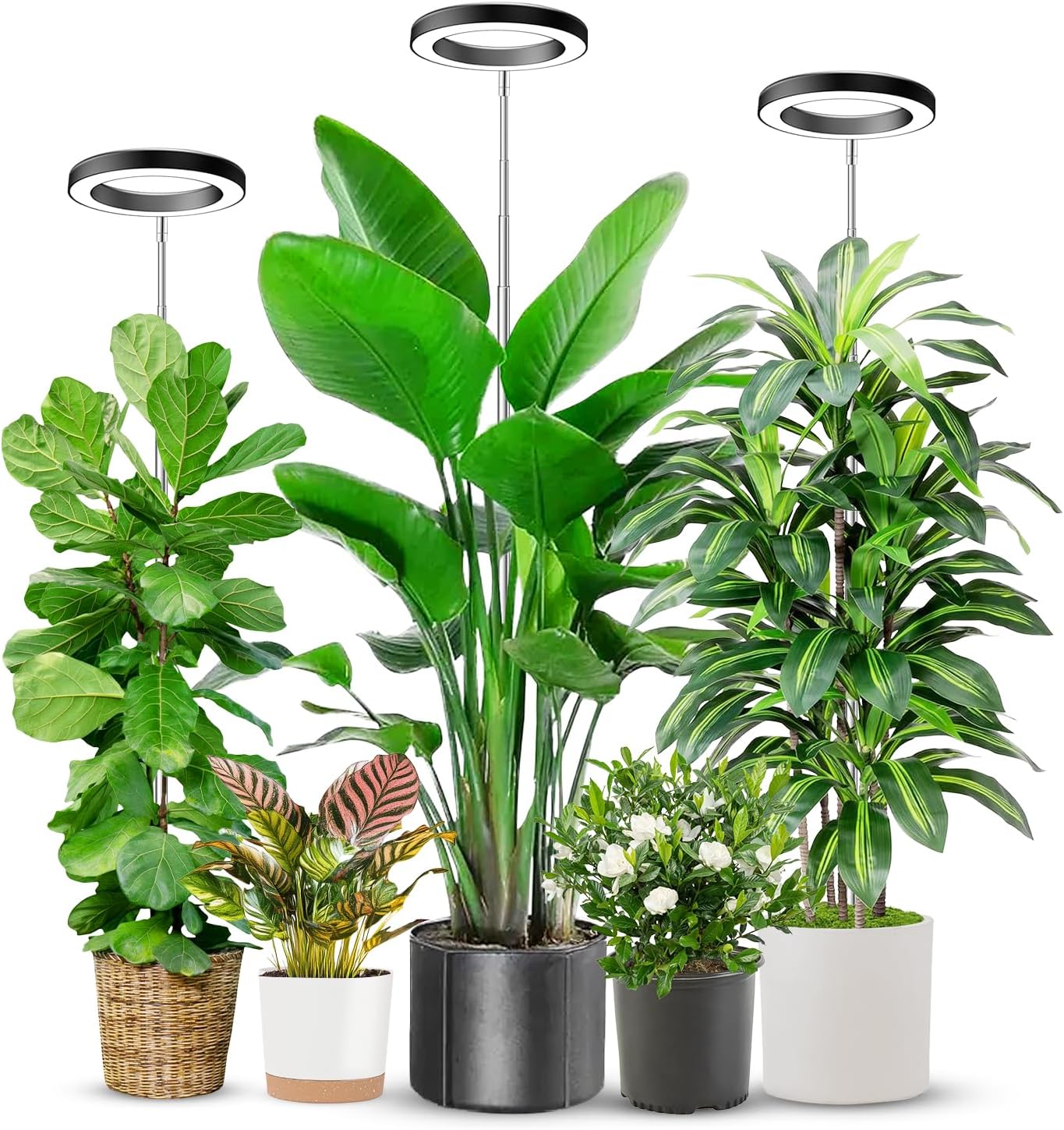 Plant Grow Light, 48 LEDs Full Spectrum Grow Lights for Indoor Plants, Height Adjustable Small Halo Grow Light with Base, 3 Optional Spectrums, Auto Timer 3/9/12Hrs, 10 Brightness, 3 Pack