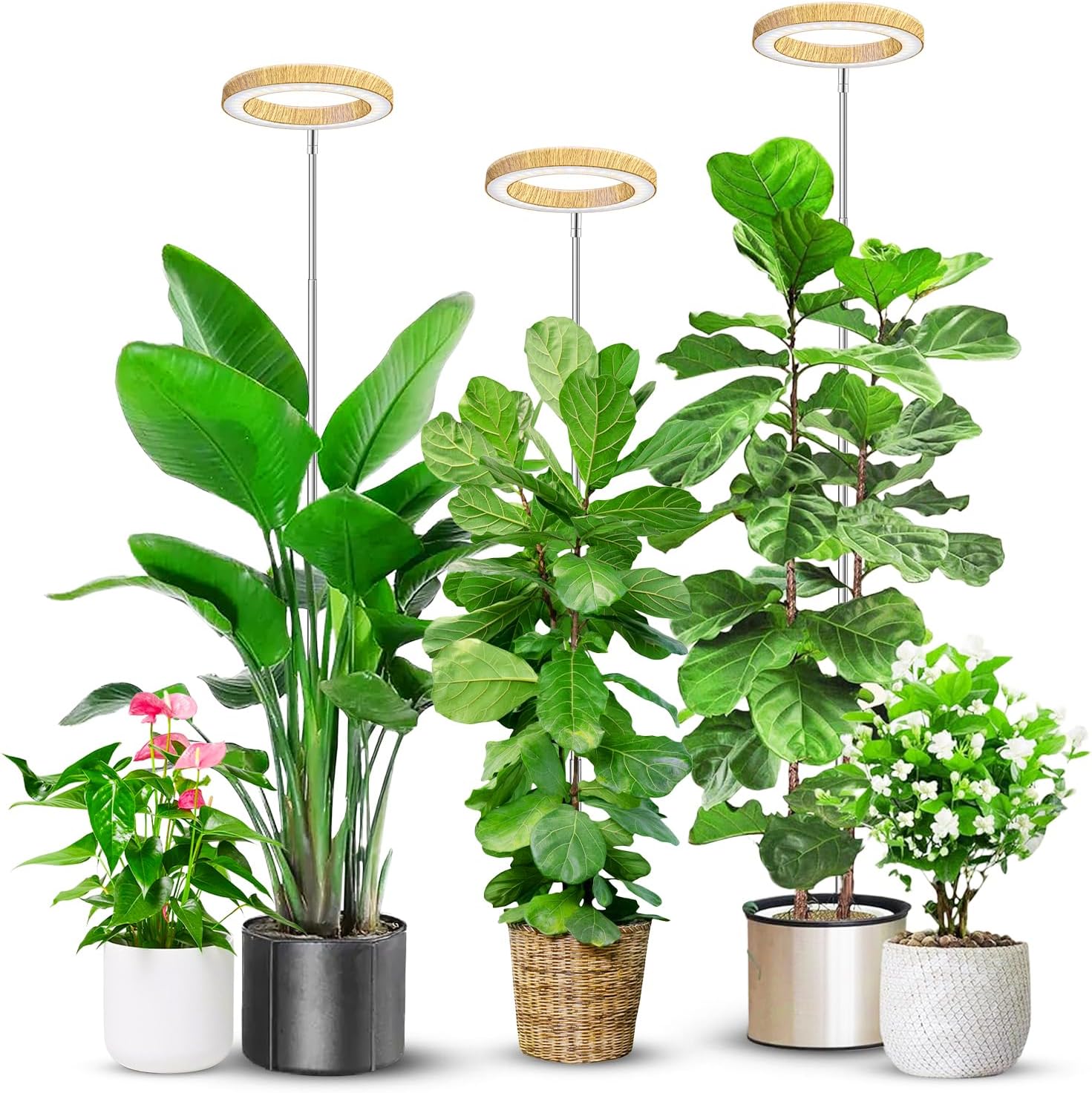 Plant Grow Light, 48 LEDs Full Spectrum Grow Lights for Indoor Plants, Height Adjustable Small Halo Grow Light with Base, 3 Optional Spectrums, Auto Timer 3/9/12Hrs, 10 Brightness, 3 Pack