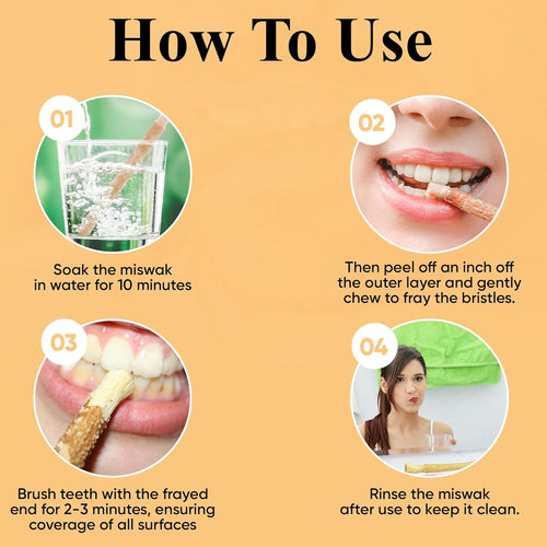 10-Pack Natural Toothbrush Sticks with Soft Bristles, Eco-Friendly & Long-Lasting