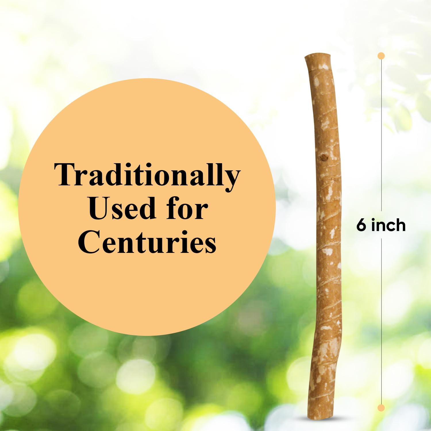 10-Pack Natural Toothbrush Sticks with Soft Bristles, Eco-Friendly & Long-Lasting
